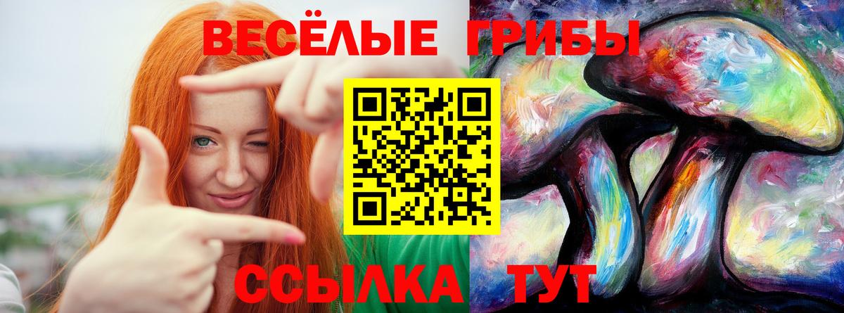 Галлюциногенные грибы ЛСД Новороссийск