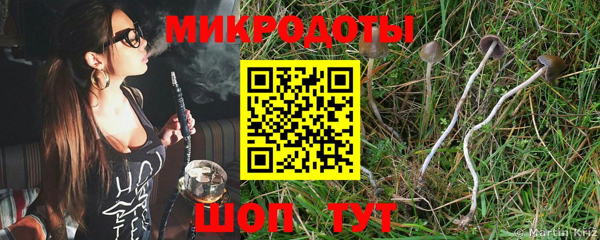 где можно купить наркотик  Галлюциногенные грибы Cubensis  Новороссийск  Вход с VPN  Псилоцибиновые грибы мухоморы 